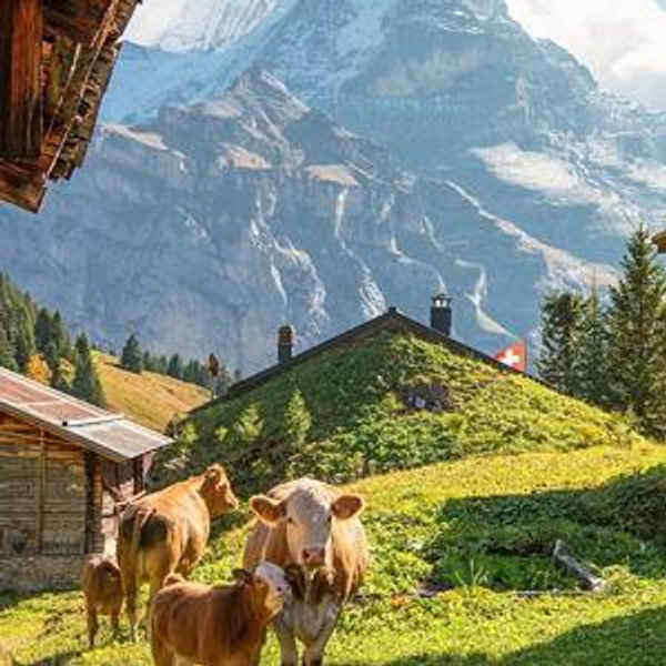 Switzerland