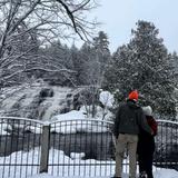 Bond Falls Waterfalls