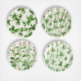 Erbe Assorted Salad Plates, Set of 4