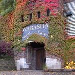 Wabasha Street Caves
