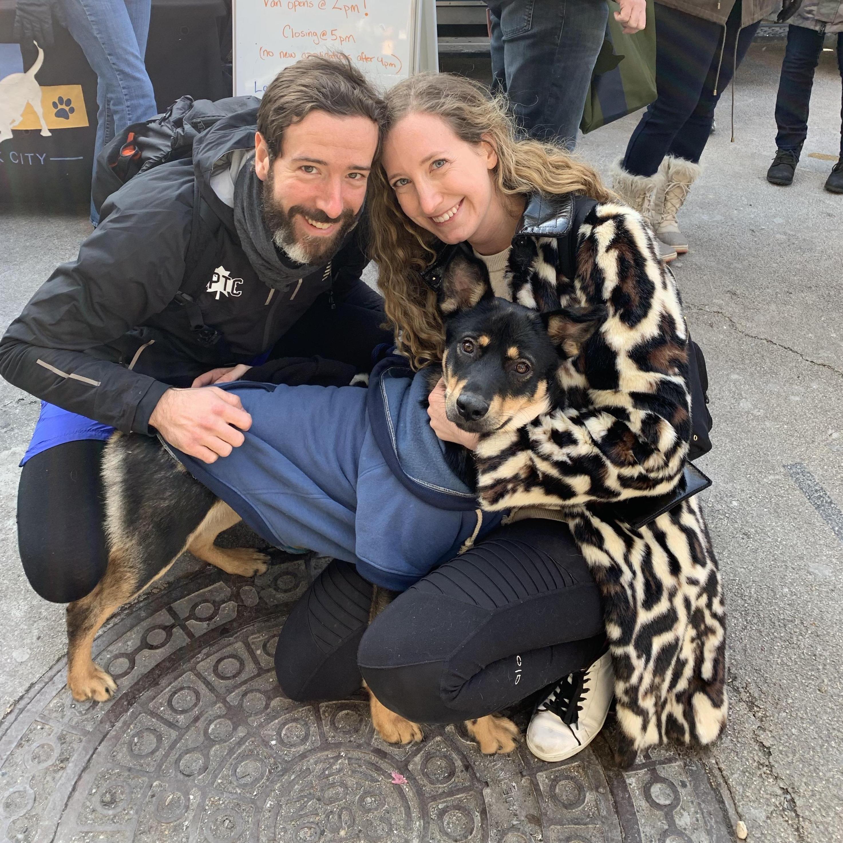 Our first foster dog, Gretta.