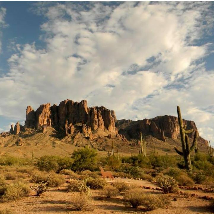 Ceremony Location: Lost Dutchman State Park