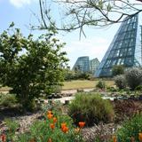 San Antonio Botanical Gardens