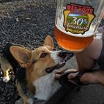 Mad River Brewing Company - Tasting Room