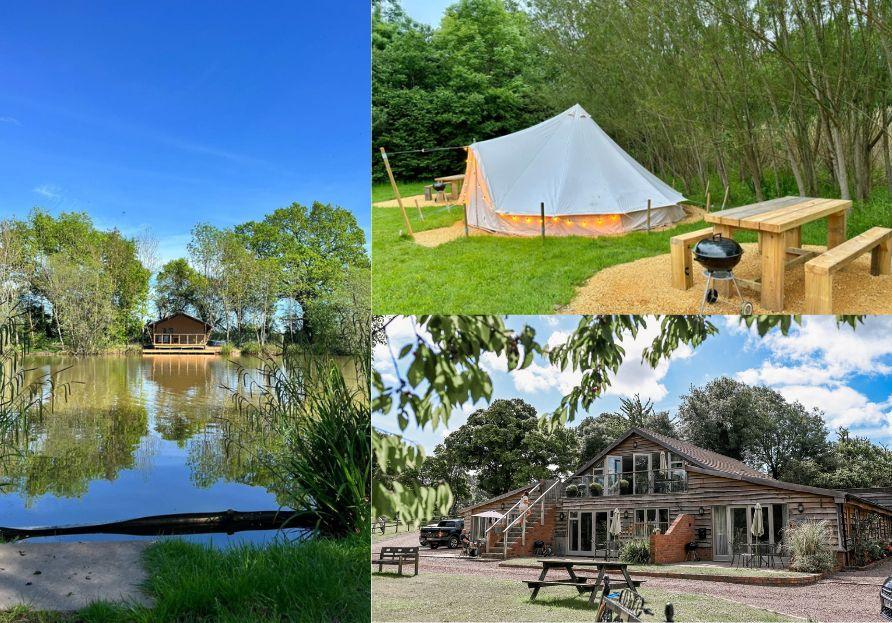 The Wedding Website of Aishath Mash'al Naseem and Ribaal Hijazi