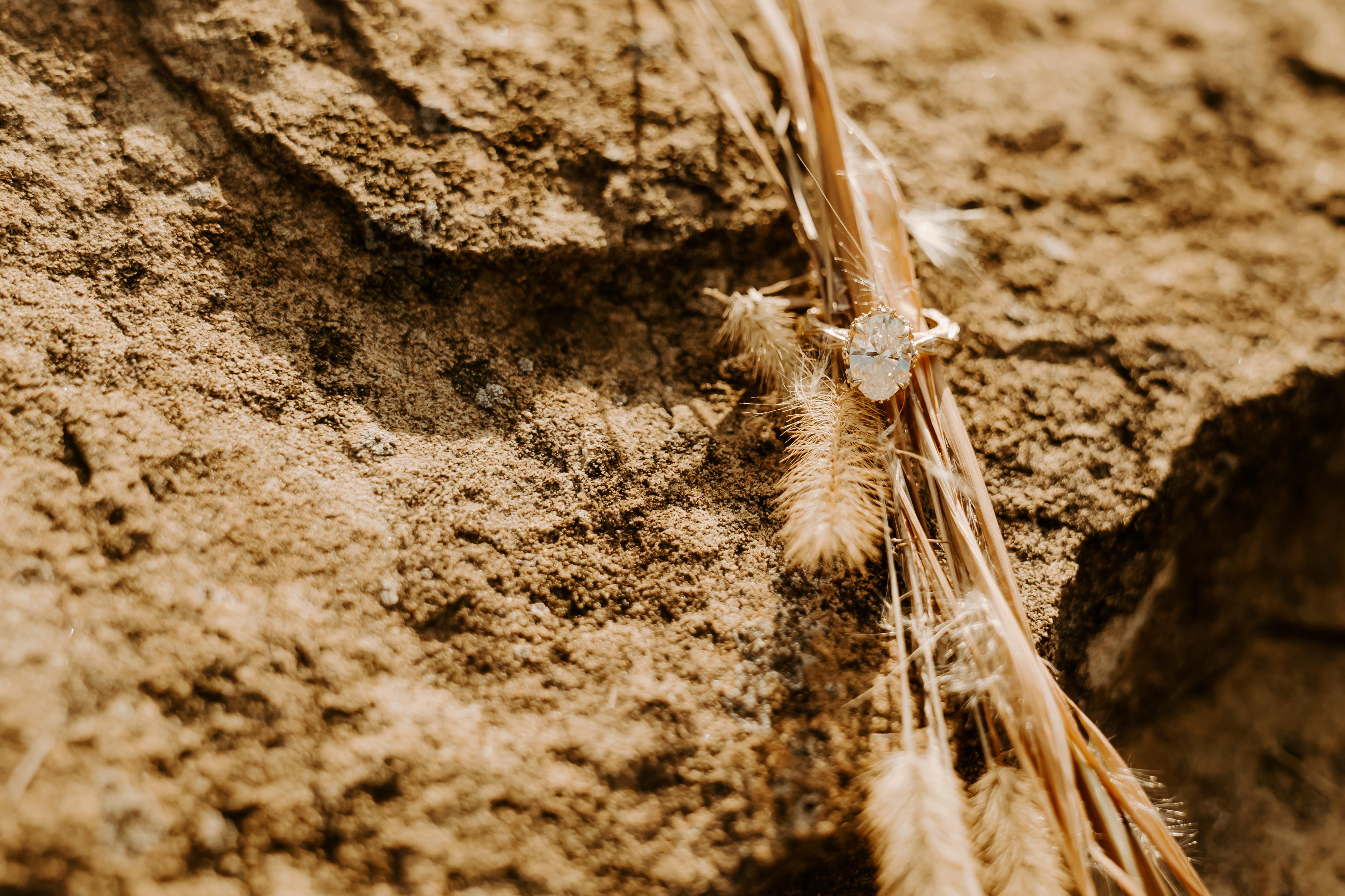 The Wedding Website of Ally Baker and Braden Myers