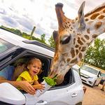 African Safari Wildlife Park