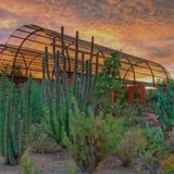 Desert Botanical Garden