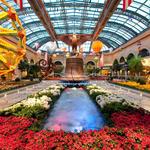 Bellagio Conservatory & Botanical Gardens