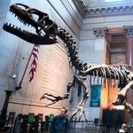 American Museum of Natural History