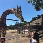 Malibu Wine Safaris
