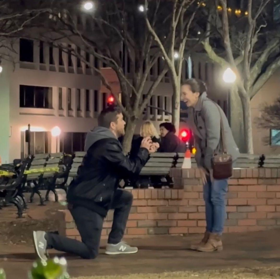 The proposal...