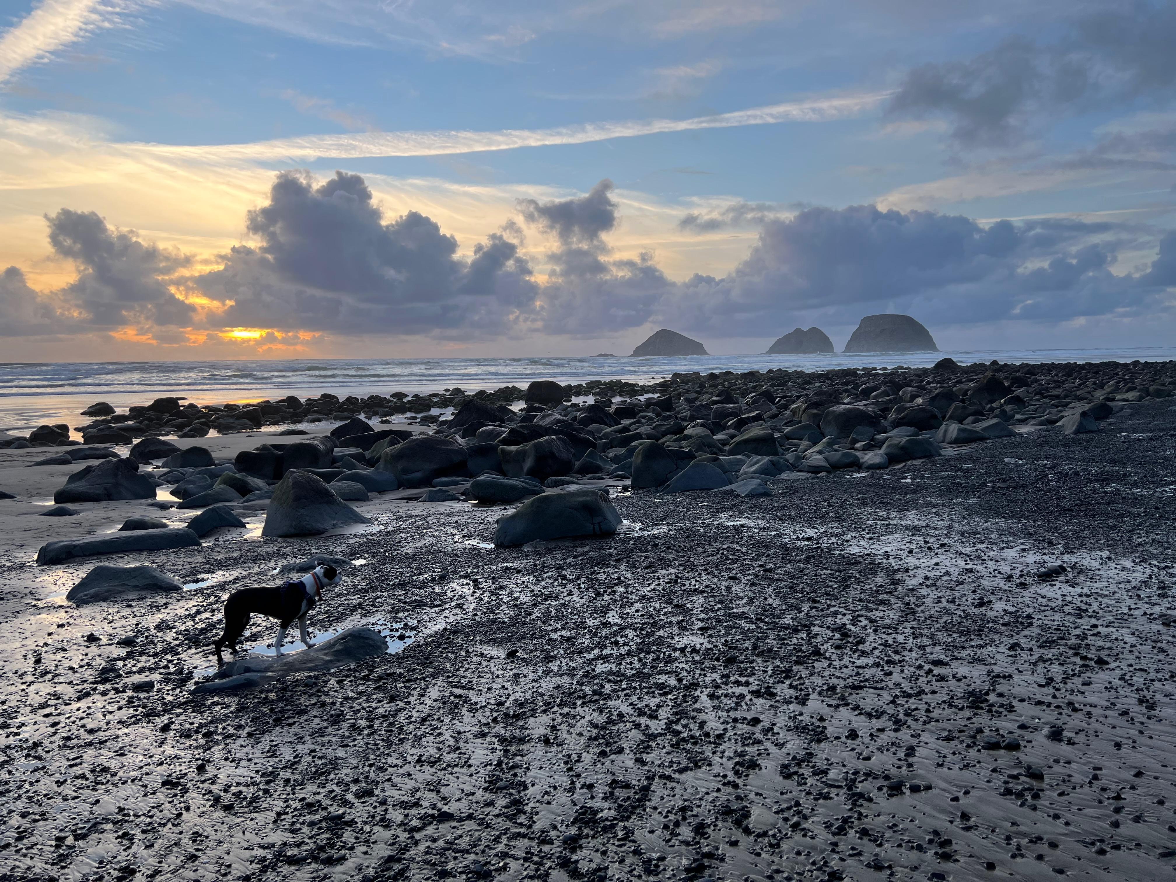 The Wedding Website of Katie Stem and Elissa Minor