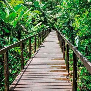 Guided nature hike for 2