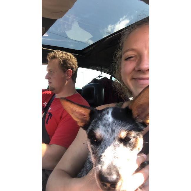 Our first dog... meet Noodle!