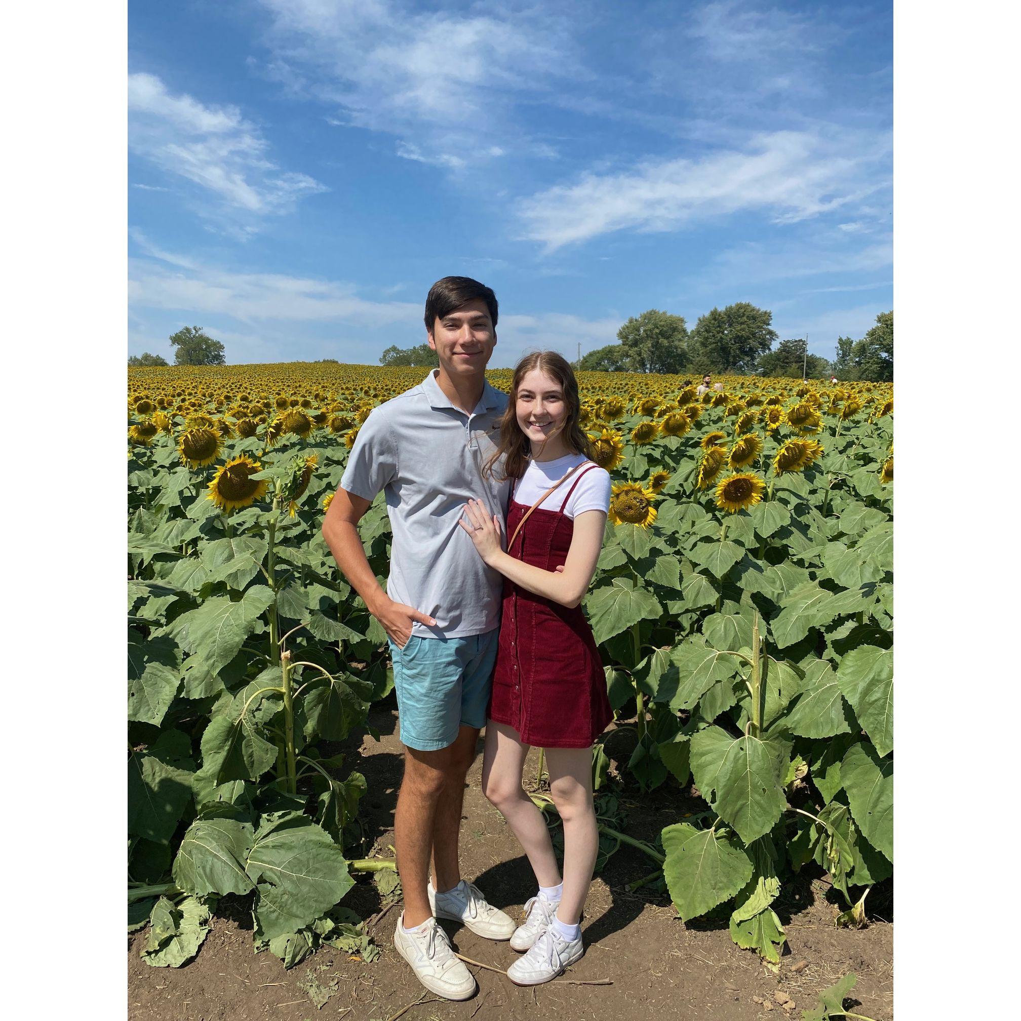 We went on a date at Grinter's Sunflower Farm to celebrate our third anniversary! - 09/09/2023
