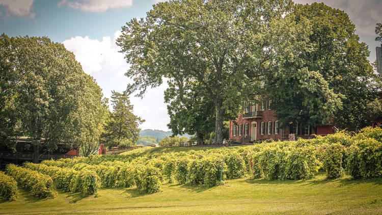 The Wedding Website of Brette Hooker and Barkley Edison
