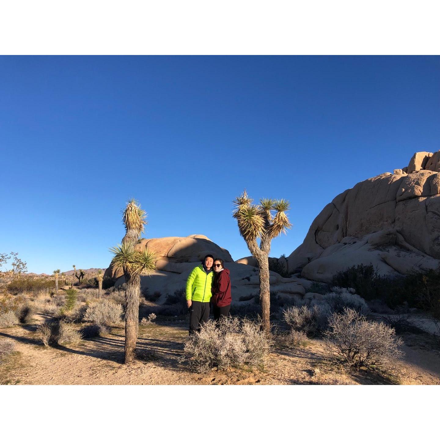 At Joshua Tree National Park
