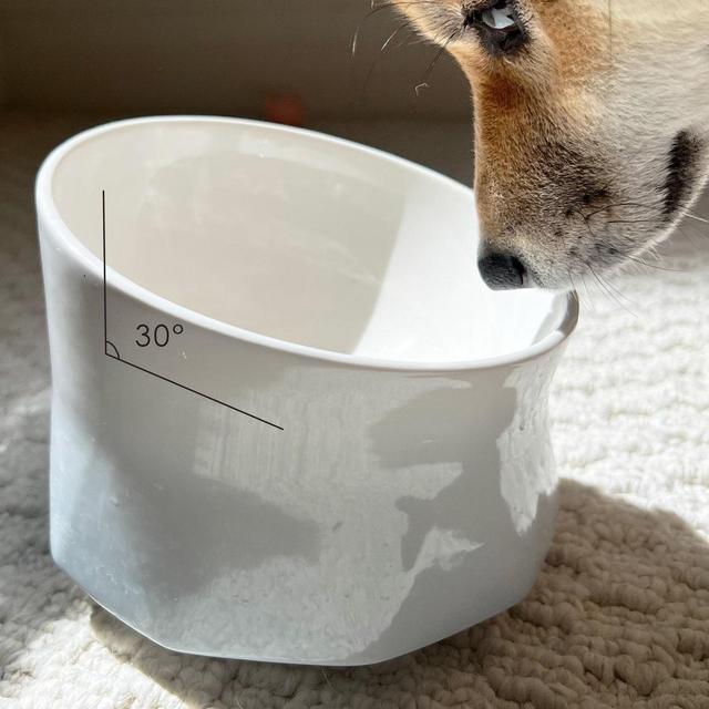 Anti-Vomiting Elevated Tilted Ceramic Cat...