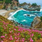 Julia Pfeiffer Burns State Park