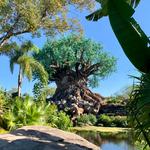 Disney's Animal Kingdom Theme Park
