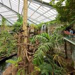 Omaha's Henry Doorly Zoo and Aquarium
