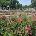 Columbus Park of Roses