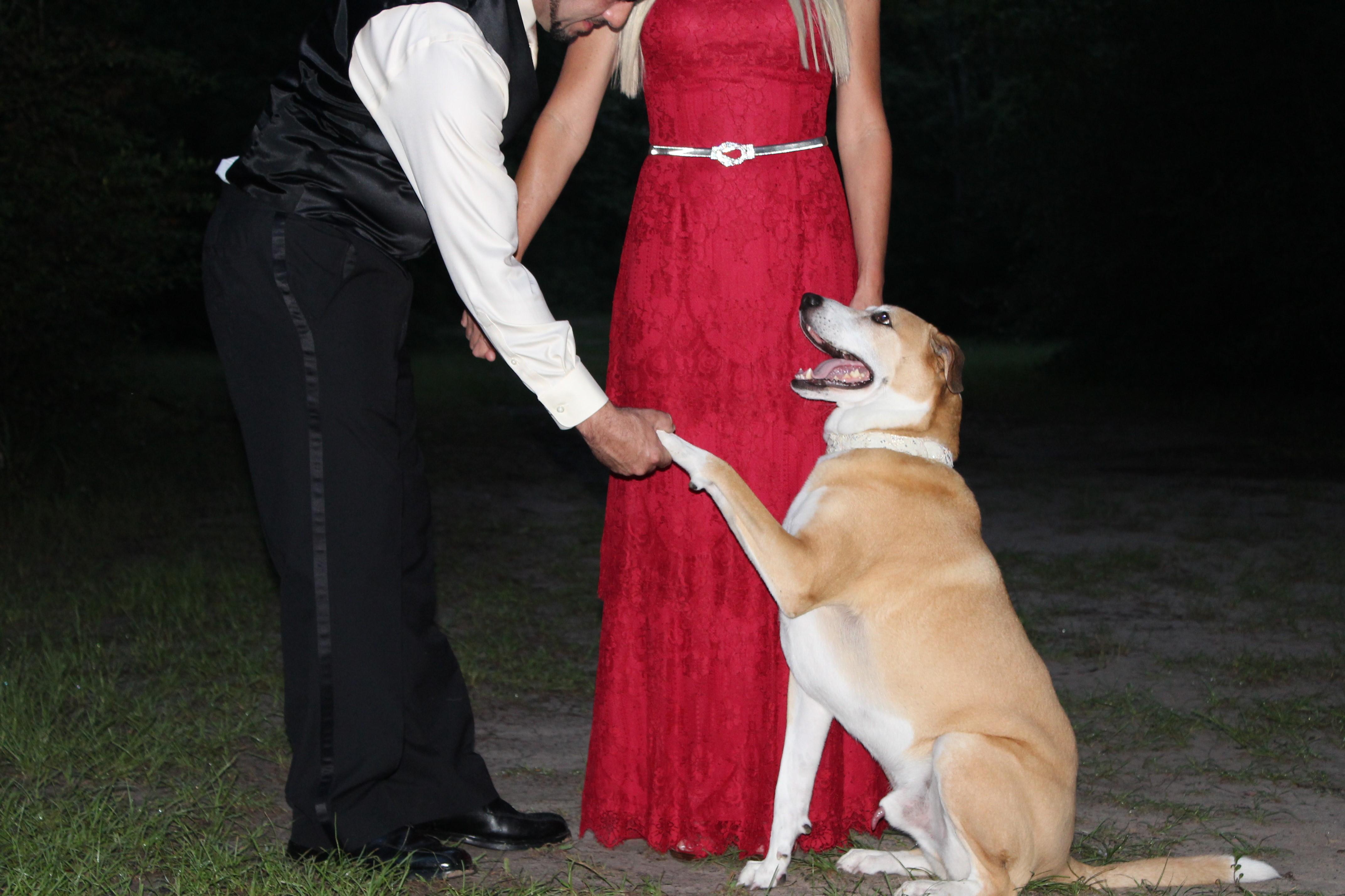 The Wedding Website of Lara Isaacs and Eddie Walker