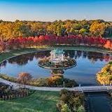 Forest Park