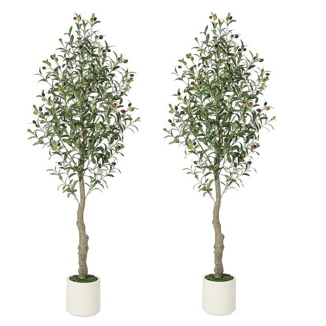 Artificial Olive Tree 5FT Tall Faux Olive Tree Indoor Fake Silk Plant with Realistic Trunk, Leaves, Fruits and White Planter, Faux Potted Tree for Home Decor and Housewarming Gift, 2 Pack