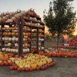 Center Grove Orchard