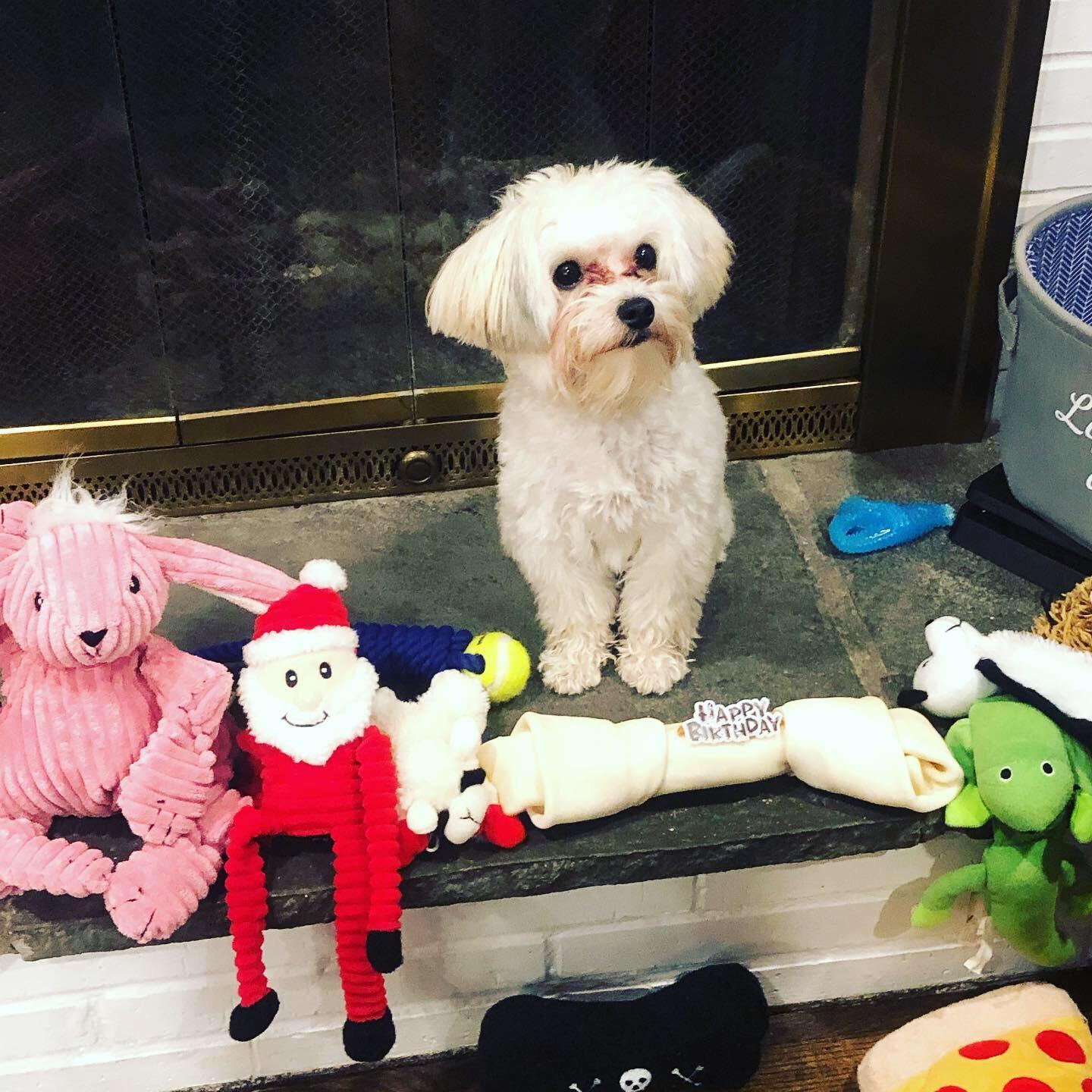 We have a 1year old child 🐾