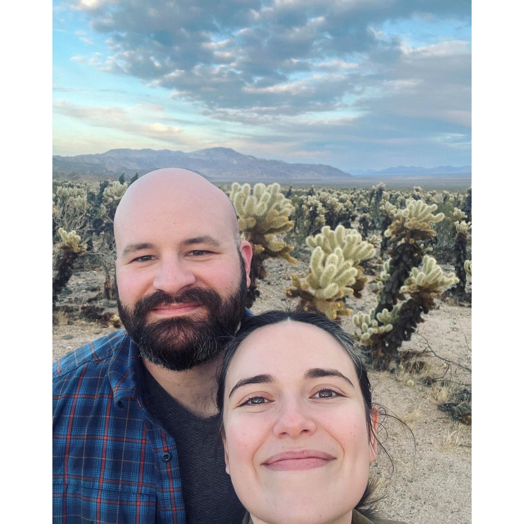 Trip to Joshua Tree in February 2023