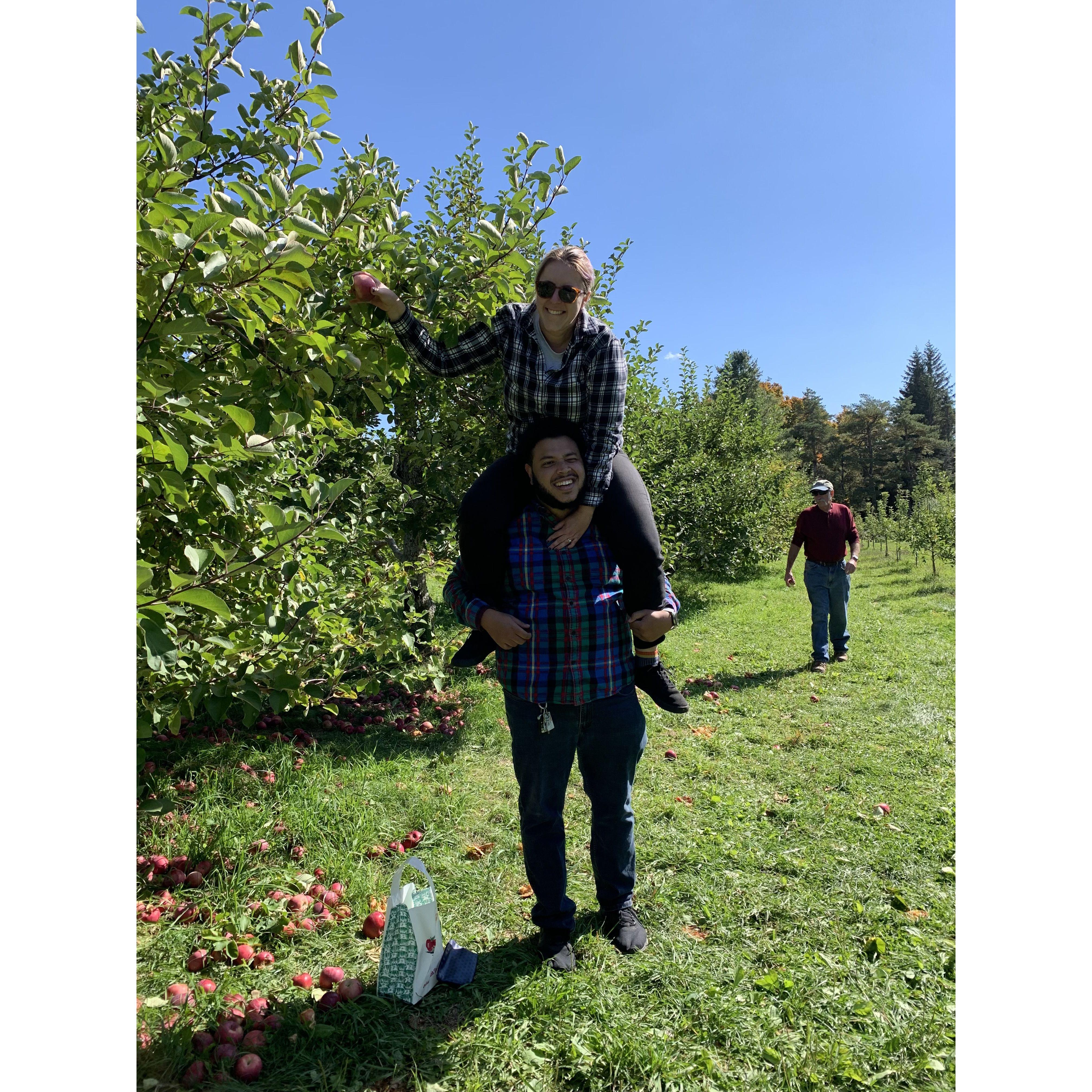 Apple picking in NH, October 2022