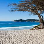 Carmel Beach