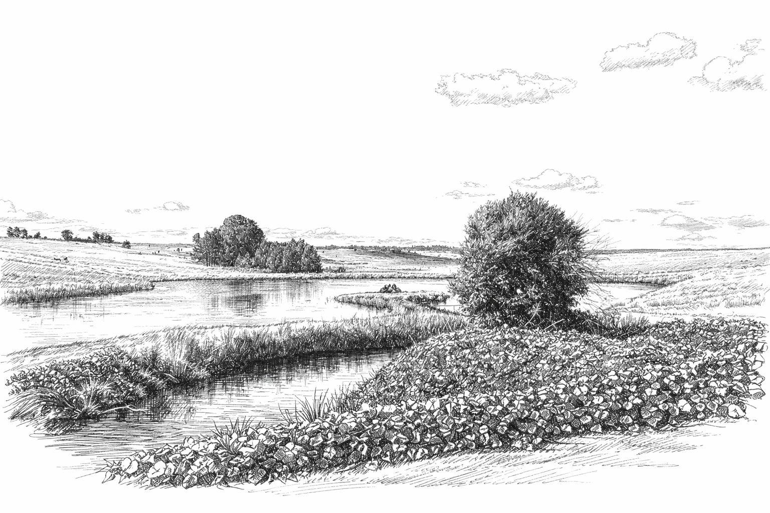 The Wedding Website of Kilana Chohan and Darshil Ramchander