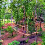 The Adventure Park at Storrs