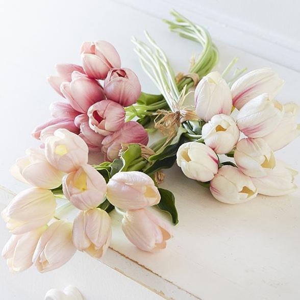 Tulip bundle