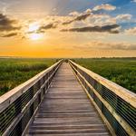 Paynes Prairie Preserve State Park