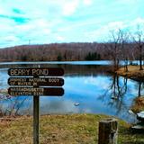 Pittsfield State Forest