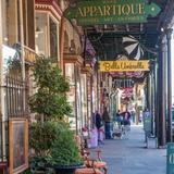 Magazine Street