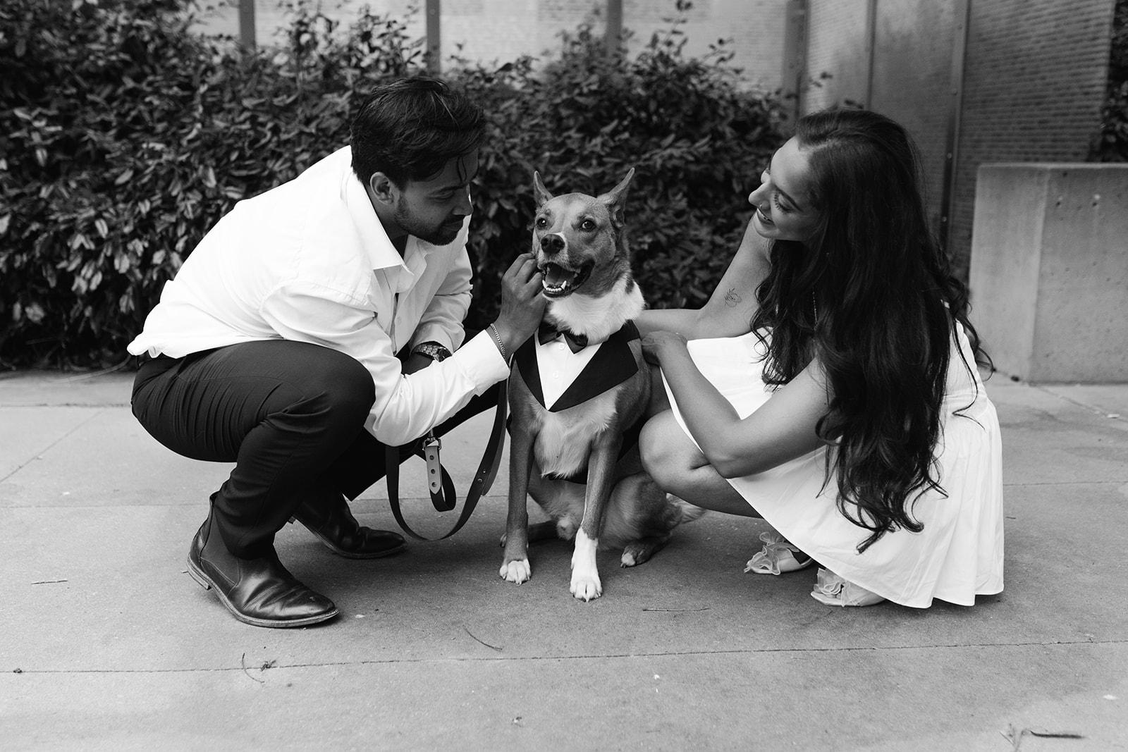 The Wedding Website of Kavi Anand and Anmol Randhawa