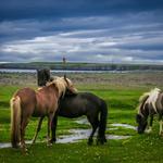 Horseback Riding Tours