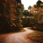 William B. Umstead State Park - Reedy Creek Entrance
