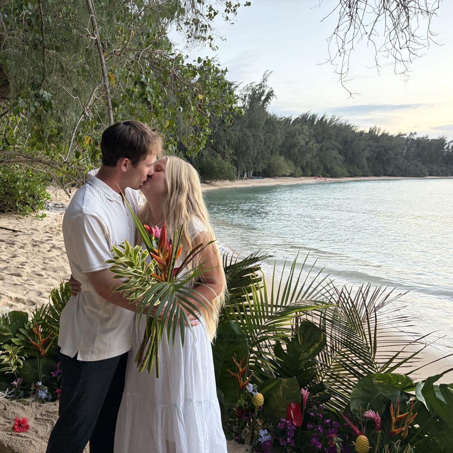 Hawaii proposal