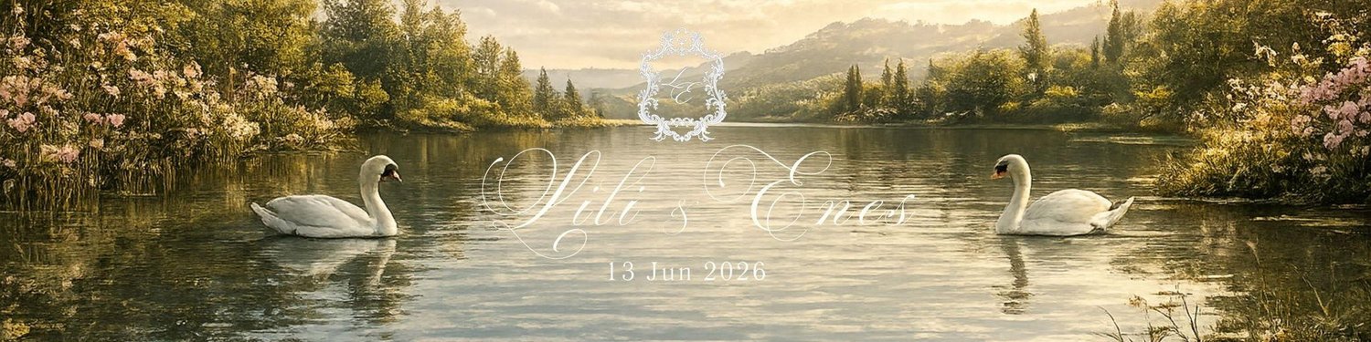 The Wedding Website of Lili V and Enes U
