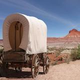 Pioneer Day Festival