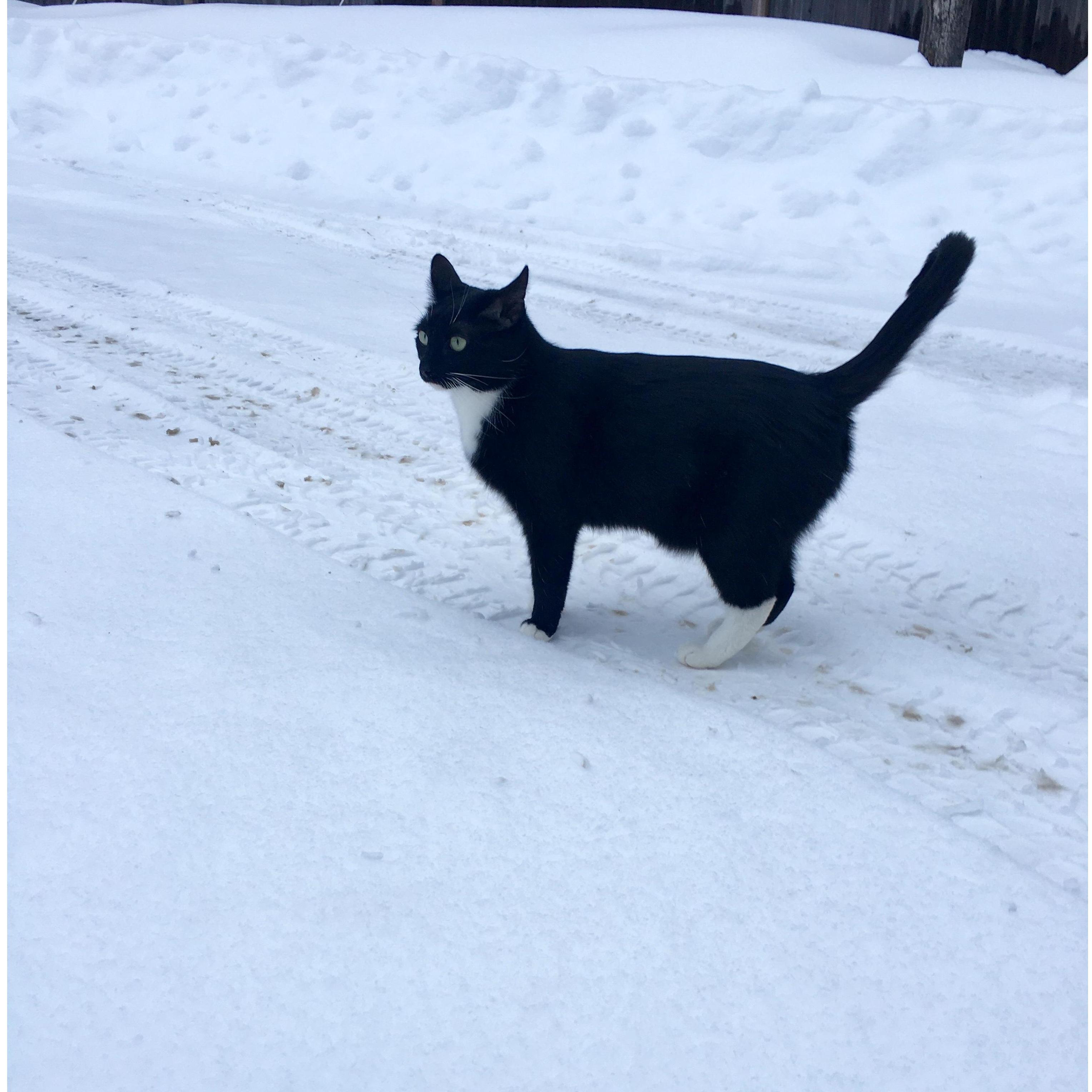 Our wonderful Frumpus!