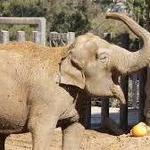Santa Barbara Zoo