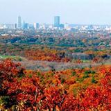 Blue Hills Reservation
